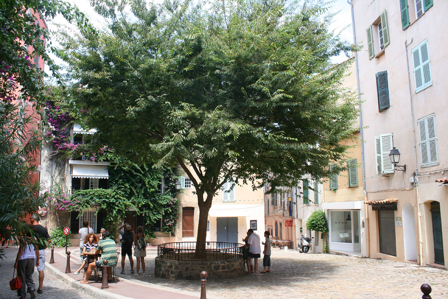 Saint Tropez